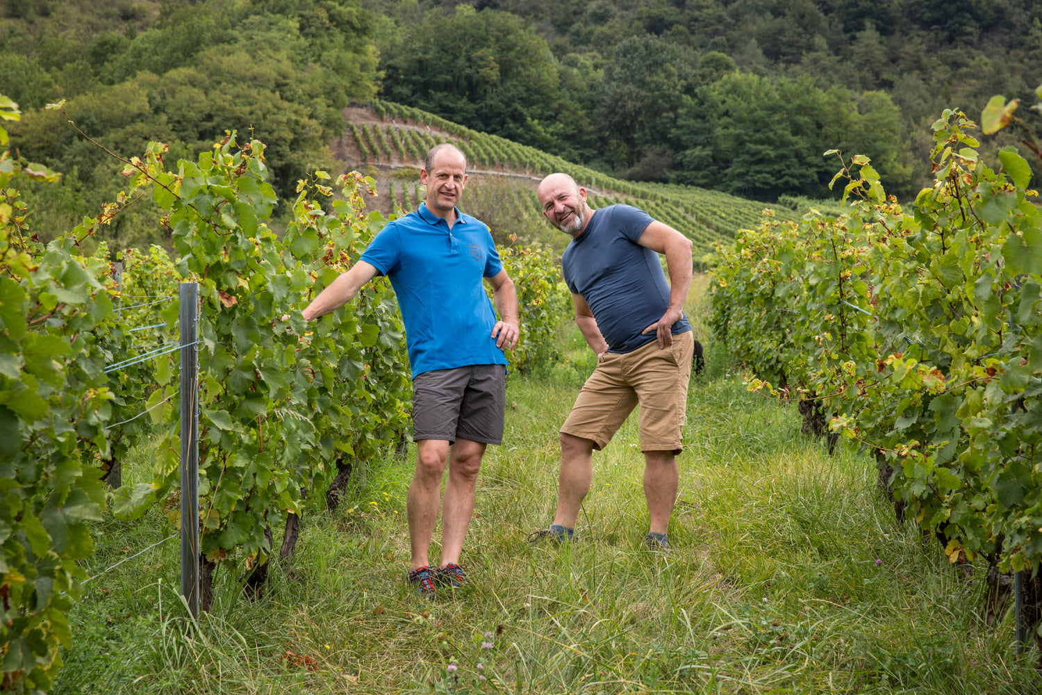 Denis et Didier Berthollier