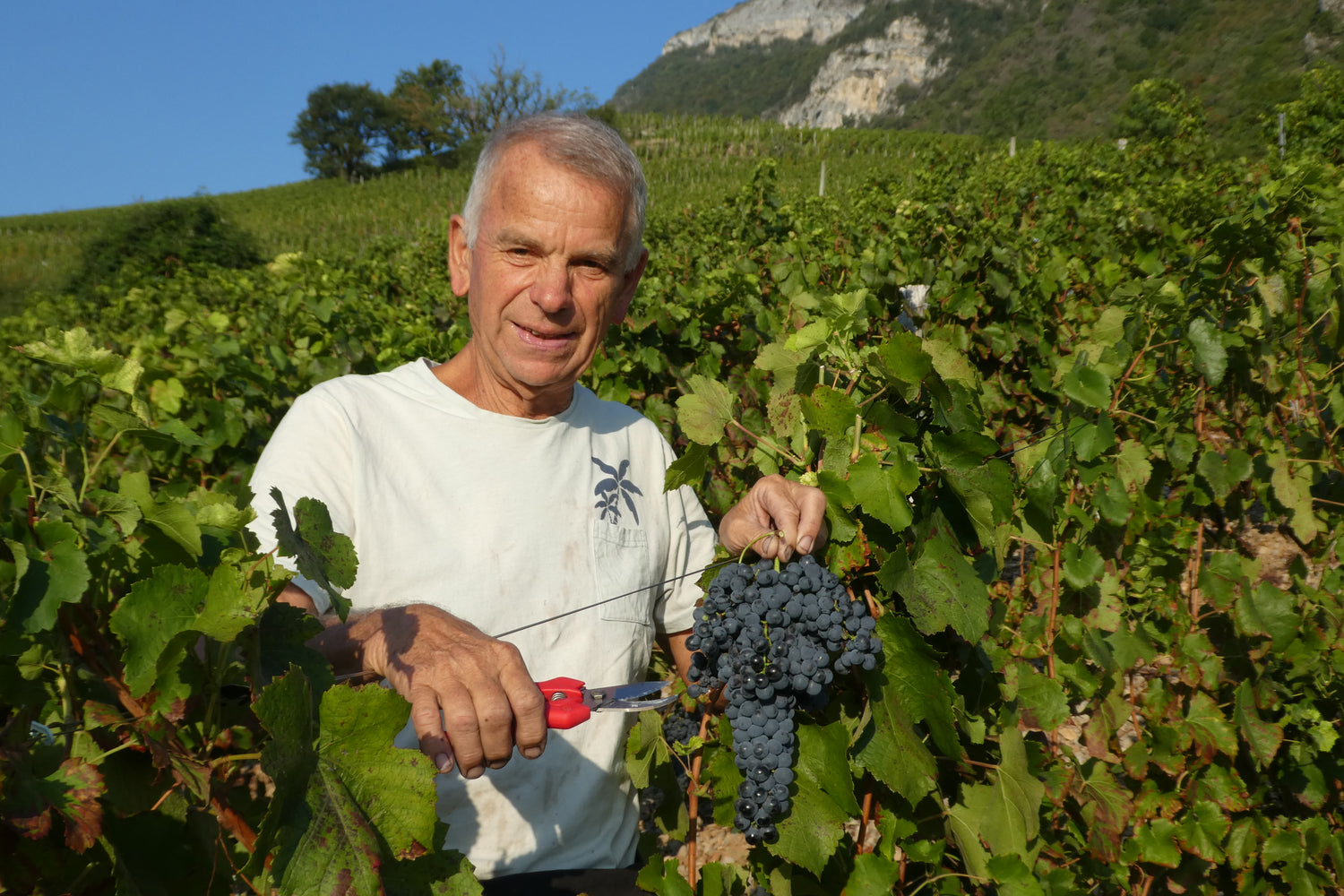 Les fils de Charles Trosset